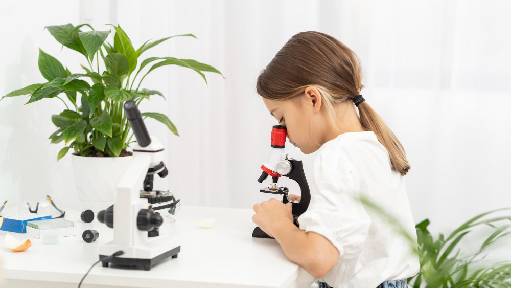 Wooden Microscope Inspires Early Curiosity in Kids
