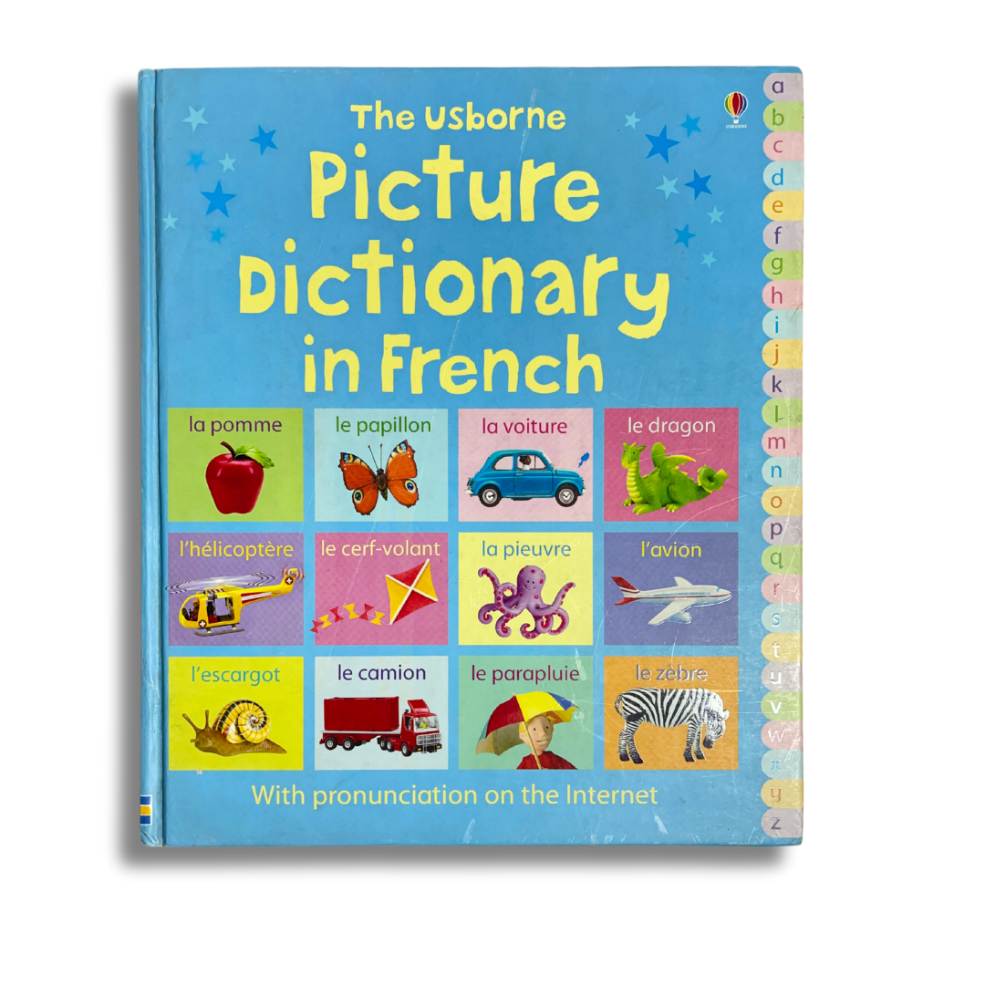 The Usborne Picture Dictionary in French – Preloved Edition | KidsBestie| kb2063