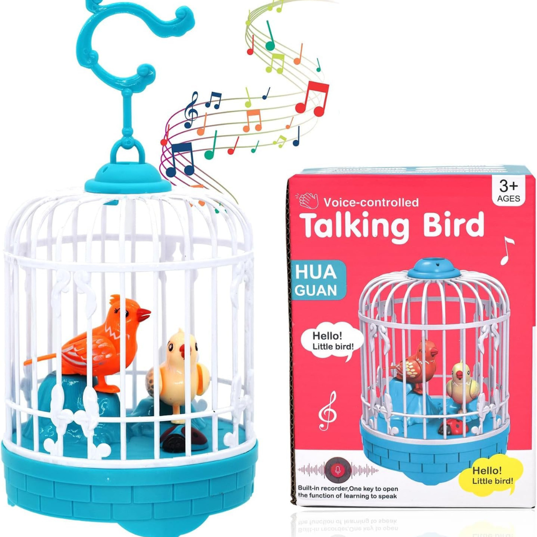 Talking Bird perfect gift for kids