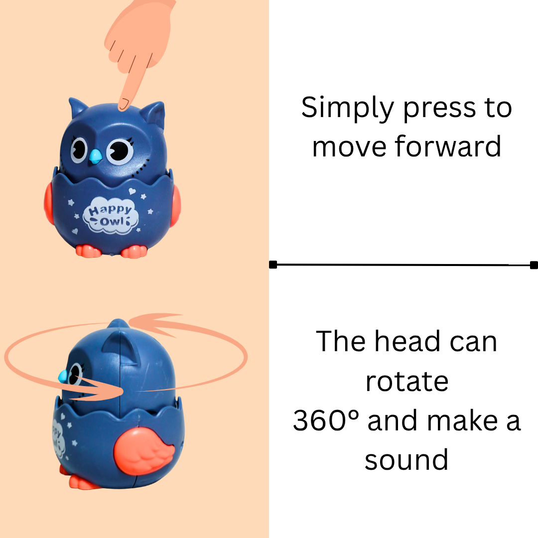 Owl Pull Back Toy for Kids (Random Colours)