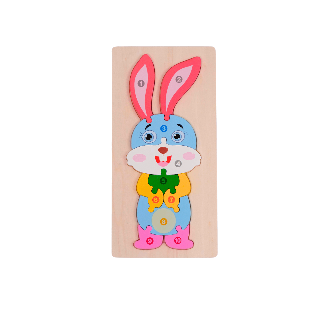 1 Wooden Puzzle for Kids(Random design will be send) - Kids Bestie