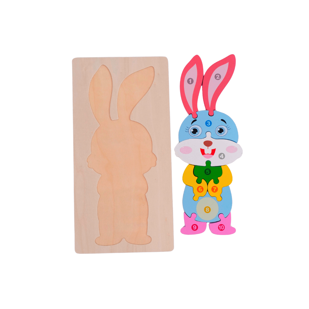1 Wooden Puzzle for Kids(Random design will be send) - Kids Bestie