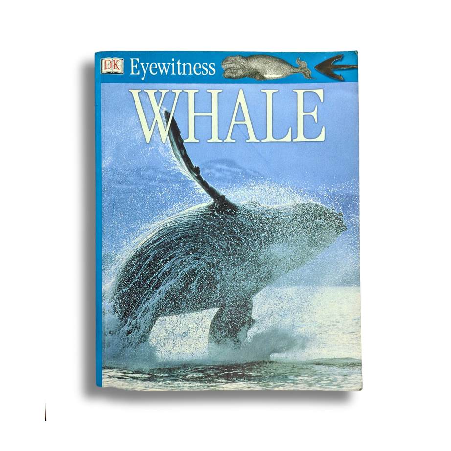 Whale Book – Preloved Edition | KidsBestie |