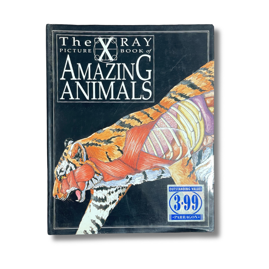 THE X-RAY PICTURE BOOK OF AMAZING ANIMALS – Preloved Edition – KidsBestie | KB3916