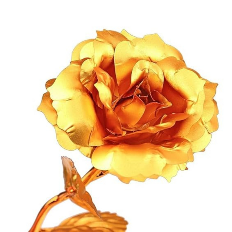 24K Gold Rose with Gift Box – Elegant Gold Dipped Rose for Gift