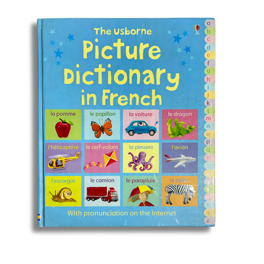 The Usborne Picture Dictionary in French – Preloved Edition | KidsBestie| kb2063