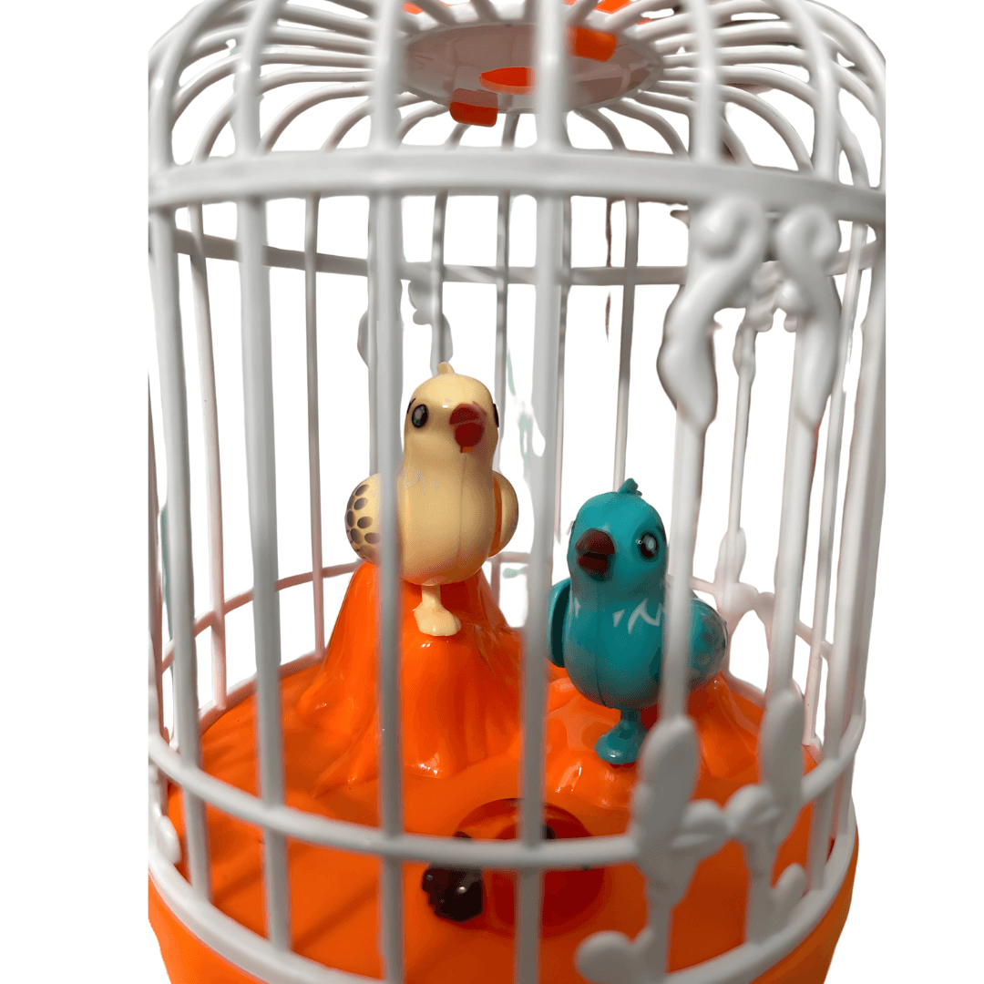 Talking Bird Cage Toy Fun Musical Toy for Kids – Kids Bestie