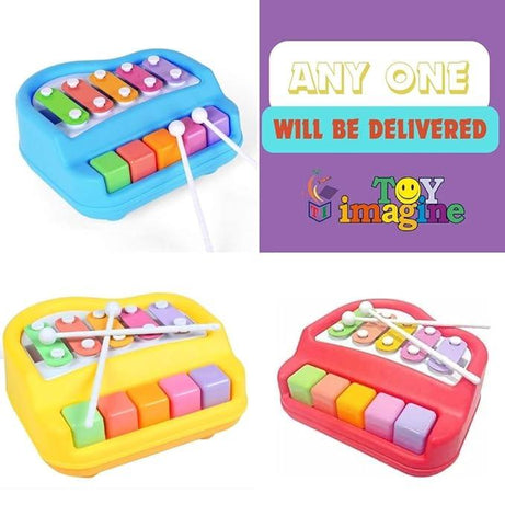 2 in 1 Piano & Xylophone with 2 Mallets - Kids Bestie
