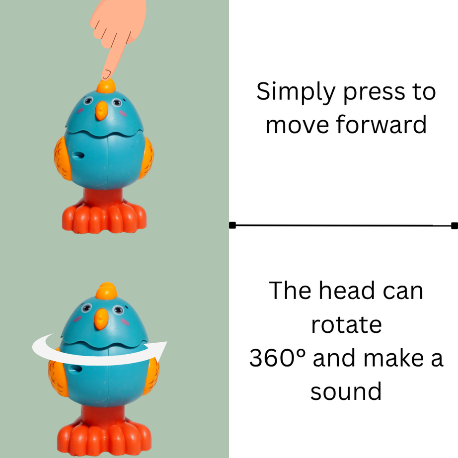 Hen Pull Back Toy for Kids (Random Colours)