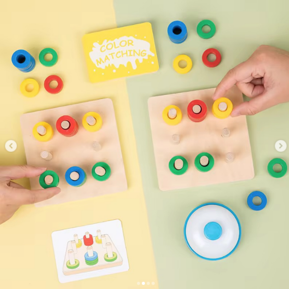 Colour Matching Educational Toy – KidsBestie Exclusive!