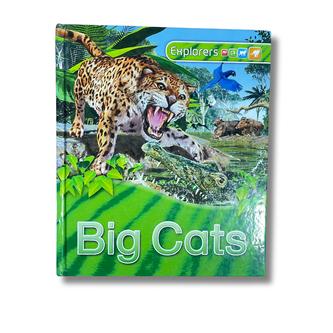 BIG CATS EXPLORERS – Preloved Edition – KidsBestie | KB3871|