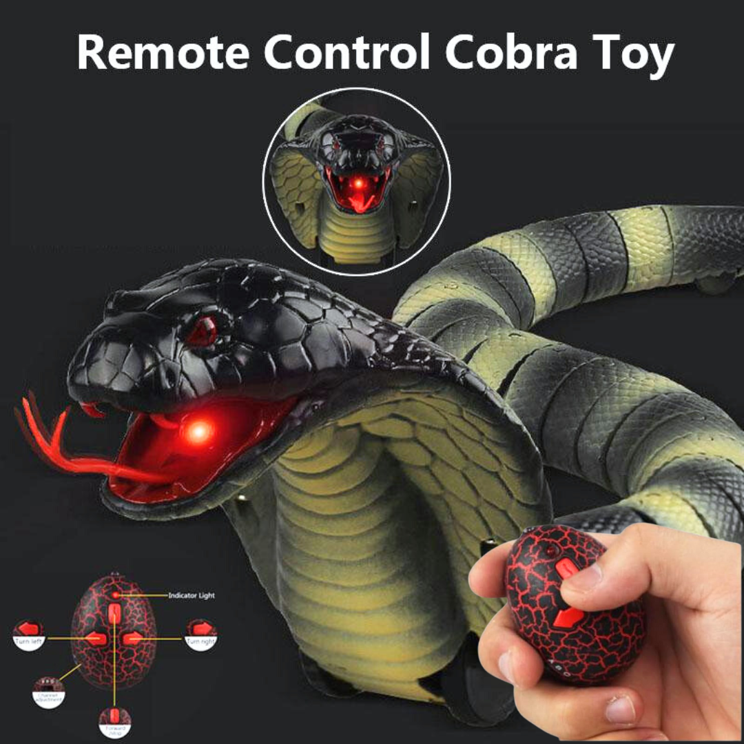 Remote Control Snake Toy for Kids (Random Colours)
