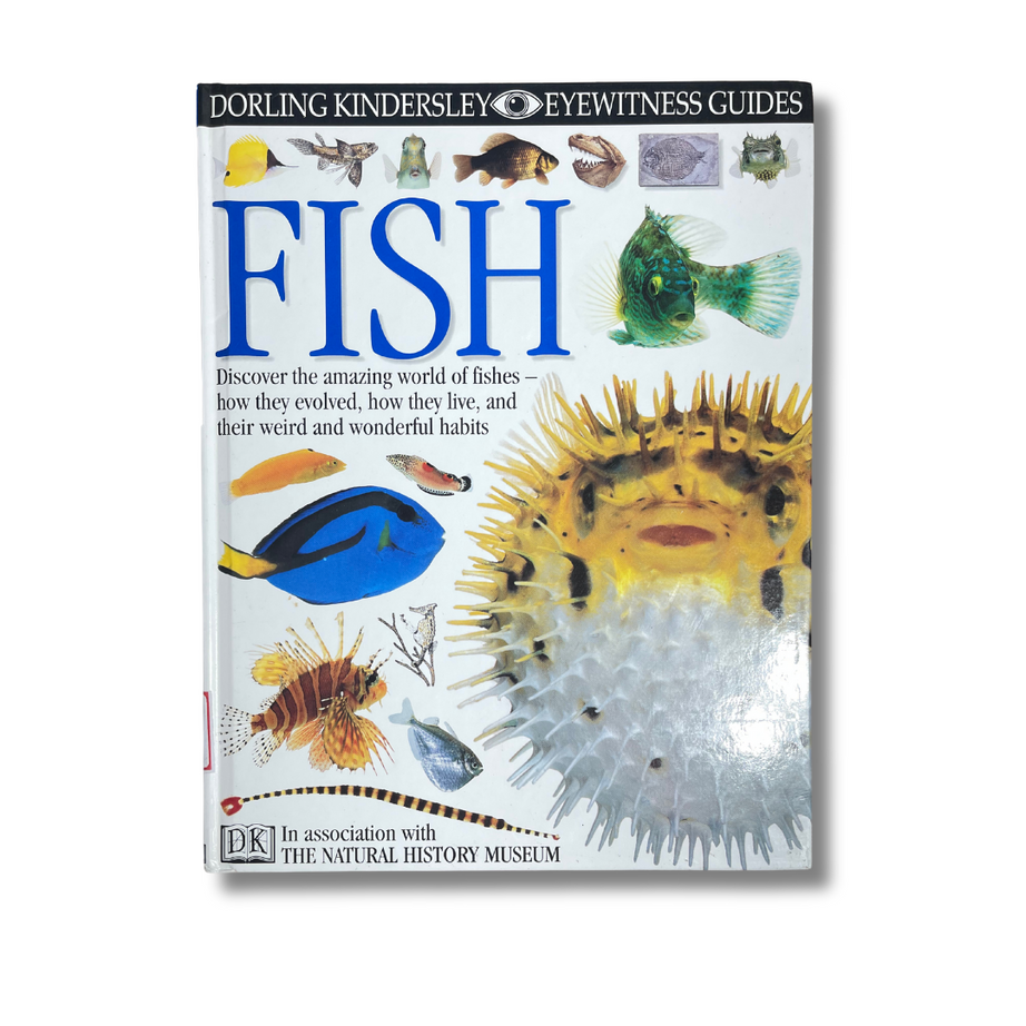 Fish (DK Eyewitness Guides) – Preloved Edition | KidsBestie | KB3190|