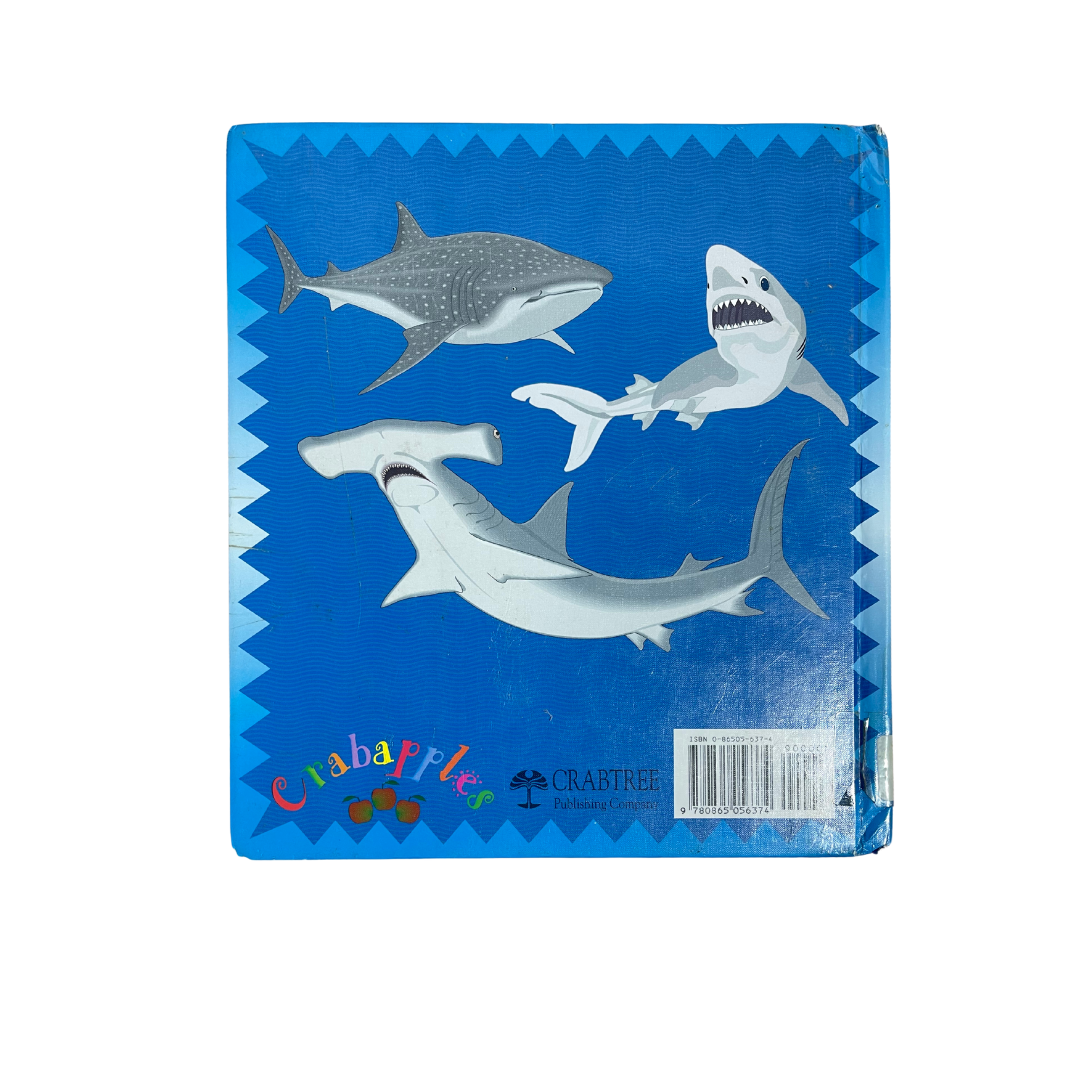 Sharks – Preloved Edition | KidsBestie | kb2215