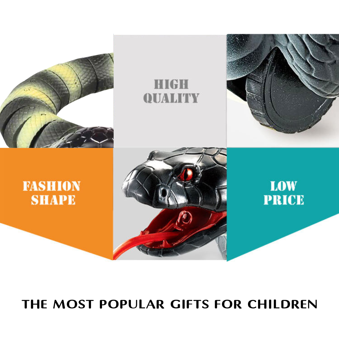 Remote Control Snake Toy for Kids (Random Colours)