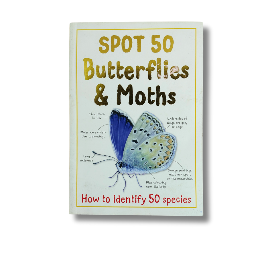 Spot 50 Butterflies and Moths – Preloved Edition | KidsBestie |