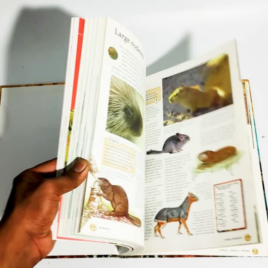 Animals of the World – Preloved Edition | KidsBestie - KBB7029