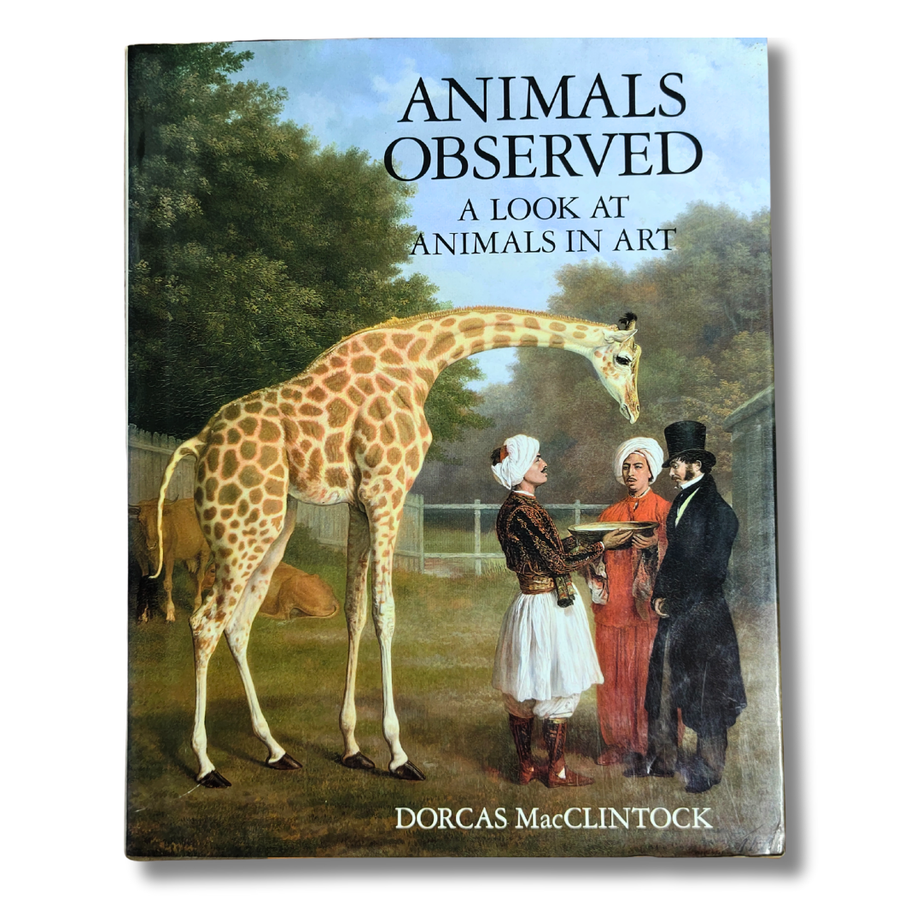 Animal Observed: A Book of Animals in Art – Preloved Edition | KidsBestie |