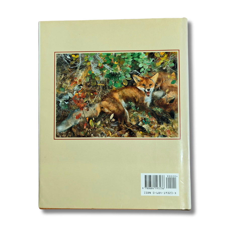 Animal Observed: A Book of Animals in Art – Preloved Edition | KidsBestie | kb2088