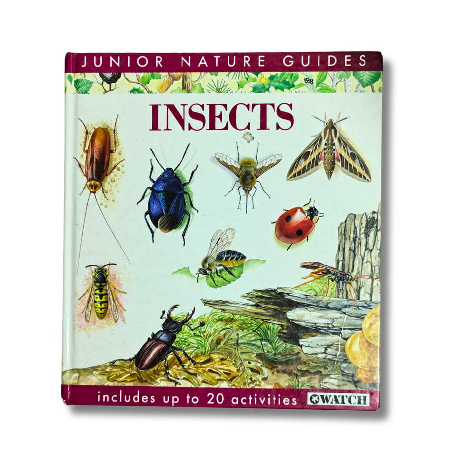Insects (Junior Nature Guides) – Preloved Edition | KidsBestie | kb2261
