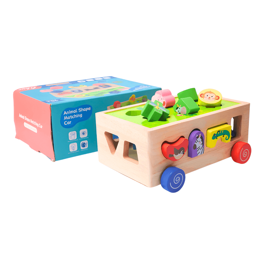 Animals Shape Matching Car Sorting Cube With 18 Shapes And Different Color - Kids Bestie