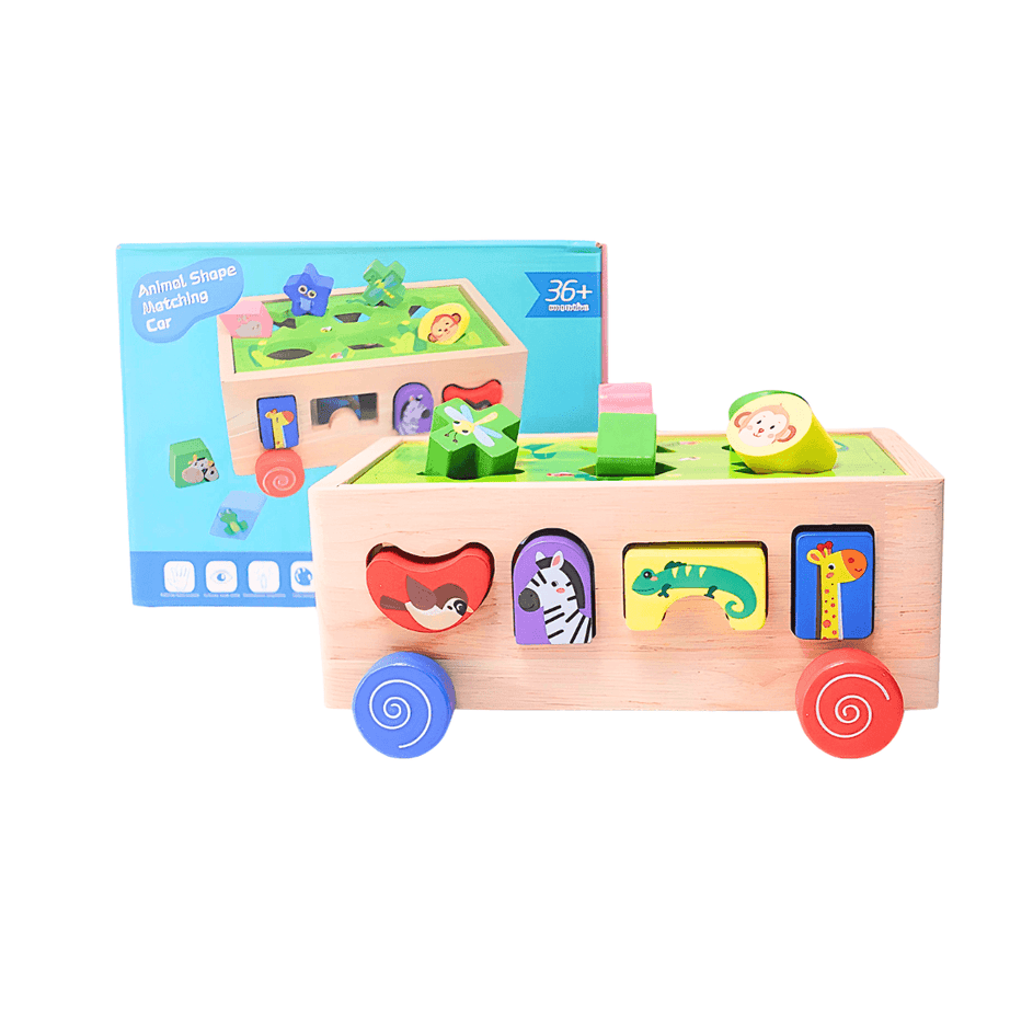 Animals Shape Matching Car Sorting Cube With 18 Shapes And Different Color - Kids Bestie