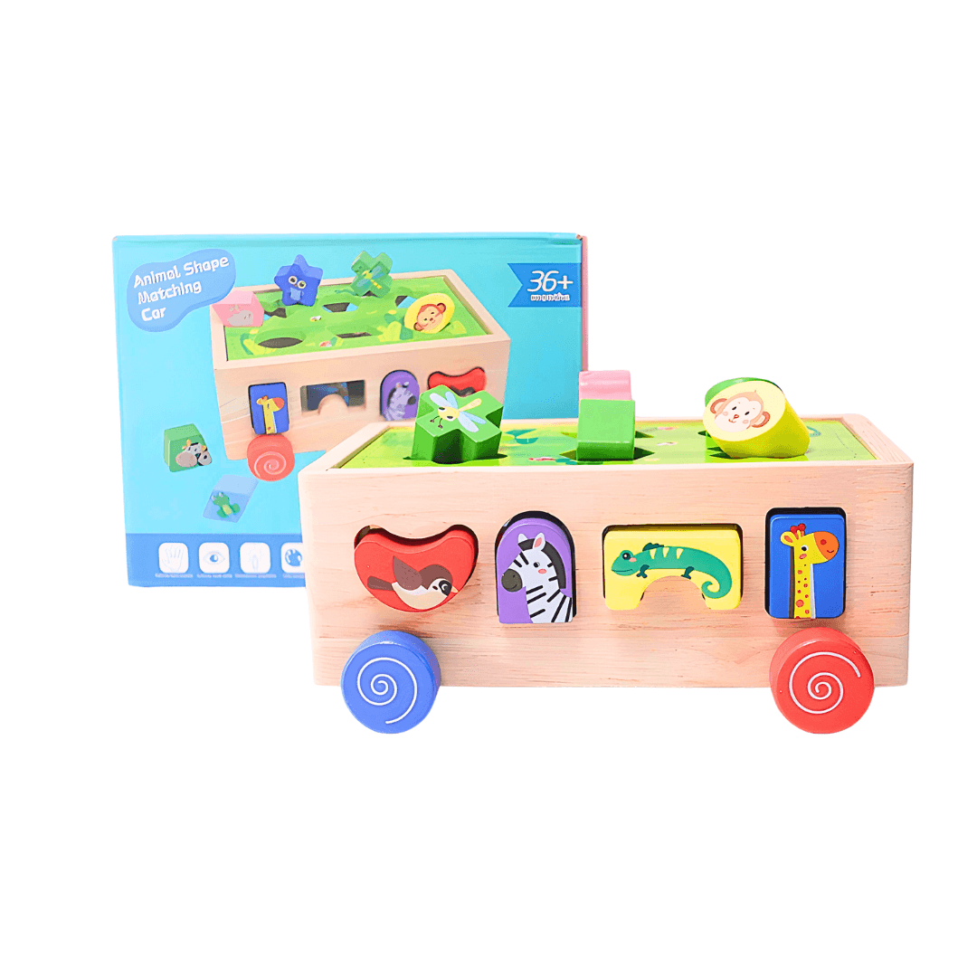Animals Shape Matching Car Sorting Cube With 18 Shapes And Different Color - Kids Bestie