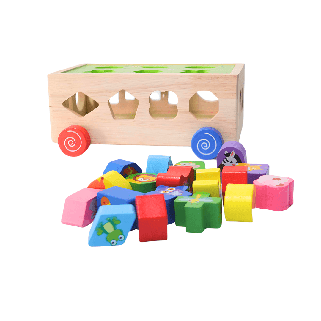 Animals Shape Matching Car Sorting Cube With 18 Shapes And Different Color - Kids Bestie