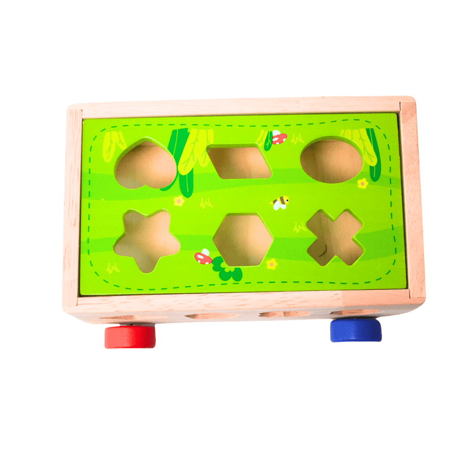 Animals Shape Matching Car Sorting Cube With 18 Shapes And Different Color - Kids Bestie