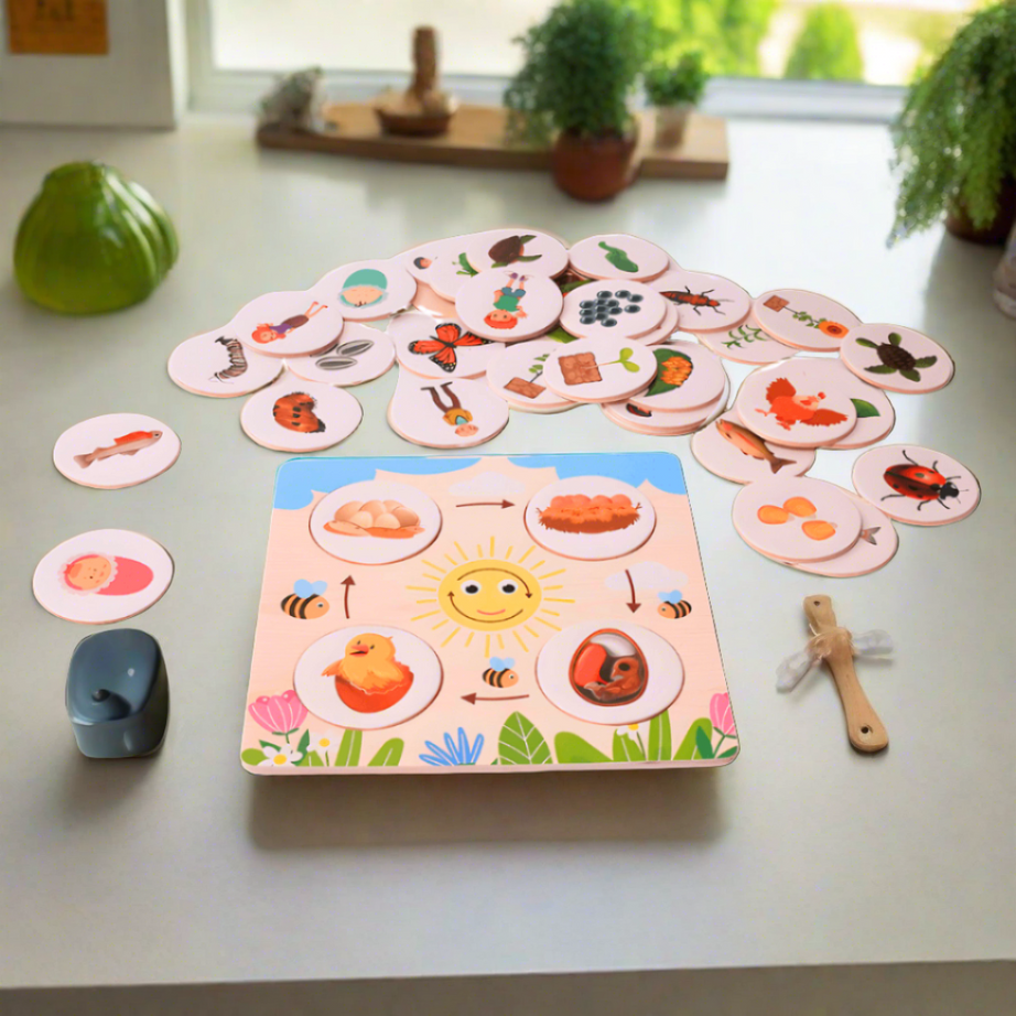 Growth Cycle Puzzle for Kids Age 3+ - Kids Bestie