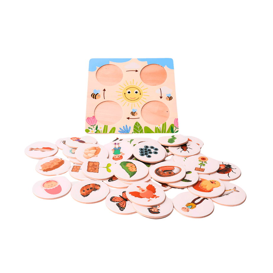 Growth Cycle Puzzle for Kids Age 3+ - Kids Bestie