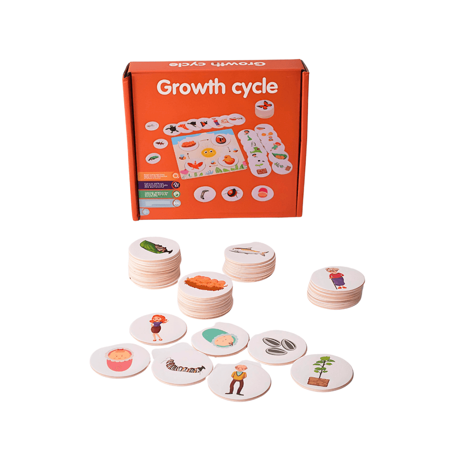 Growth Cycle Puzzle for Kids Age 3+ - Kids Bestie