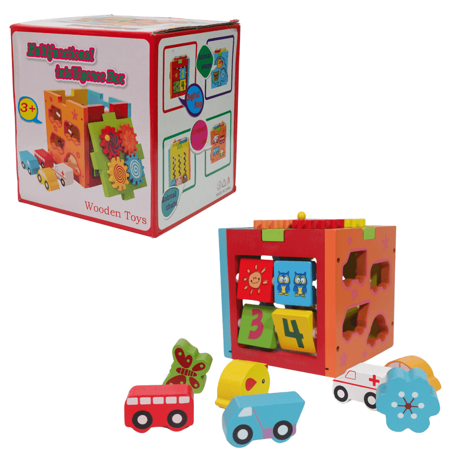 Multifunctional Intelligence Box for kids-1 Box - Kids Bestie