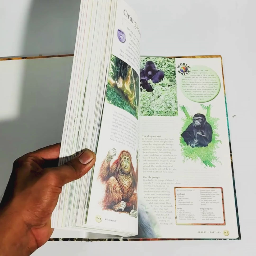 Animals of the World – Preloved Edition | KidsBestie - KBB7029