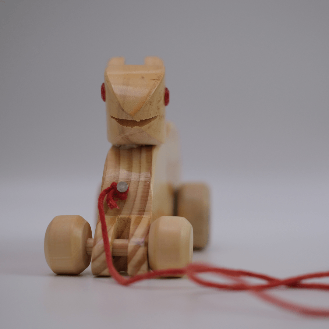 Walk A Long Wooden Pull Along Toy Big Rabbit for 12 Months Kids Bestie