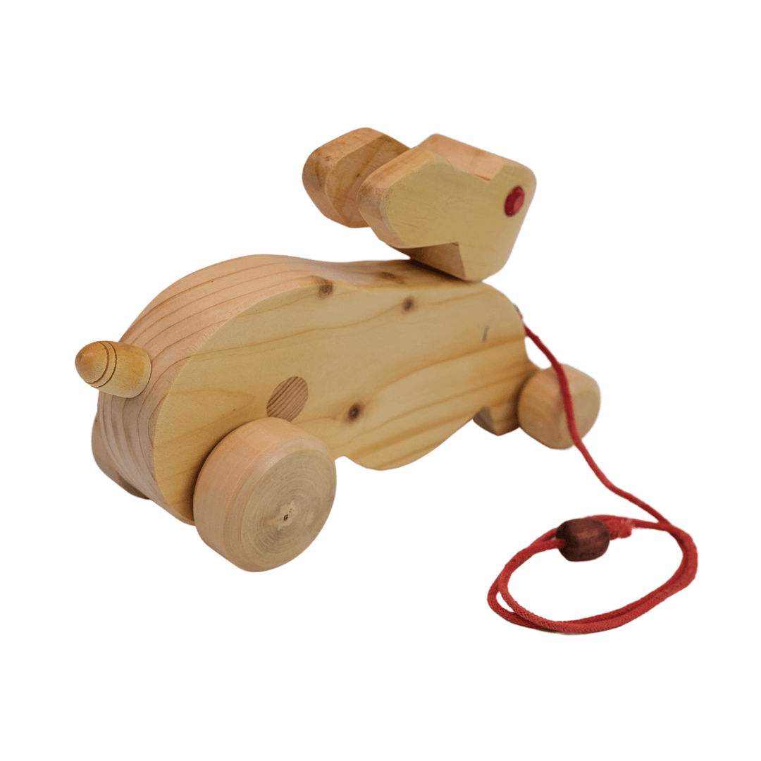 Walk-A-Long Wooden Pull Along Toy Big Rabbit for 12 Months - Kids Bestie