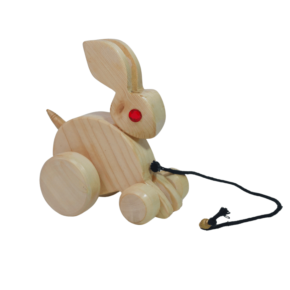 Walk-A-Long Wooden Pull Along Toy Small Rabbit for 12 Months - Kids Bestie