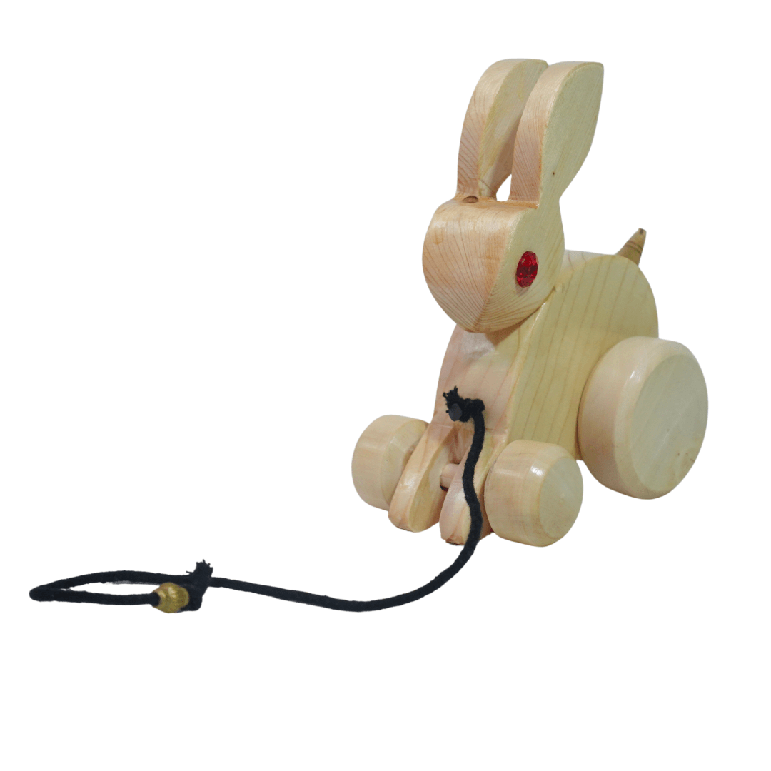 Walk-A-Long Wooden Pull Along Toy Small Rabbit for 12 Months - Kids Bestie