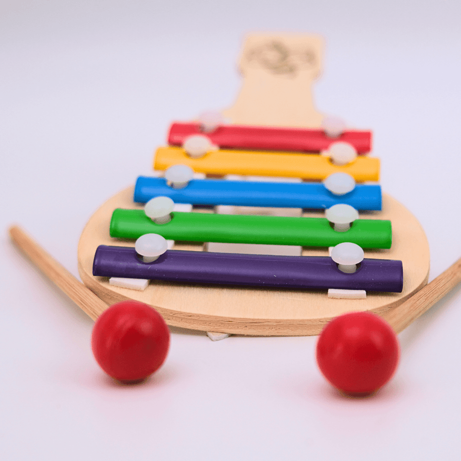 Wooden Xylophone Musical Toy with 5 Note, Multicolour, 3+, 1 Xylophone, 2 Sticks(small) - Kids Bestie